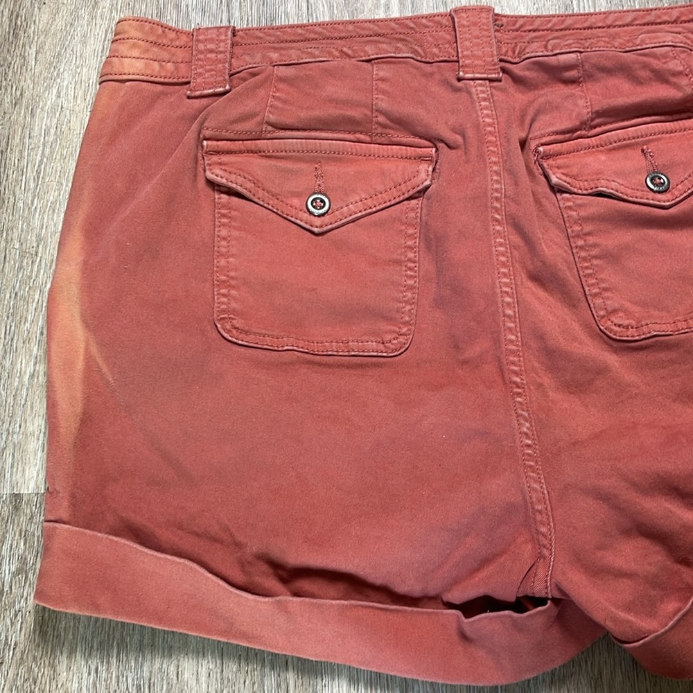 Torrid Shorts - Picture 9 of 15